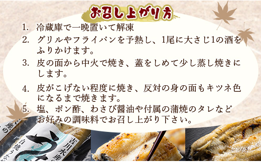 吉川水産 高知県産うなぎの白焼特大サイズ(180～210g)×1尾 タレ付き 自宅用エコ包装 yw-0042