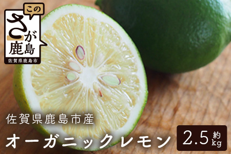 国産 オーガニックレモン 約2.5kg レモン 檸檬 B-91