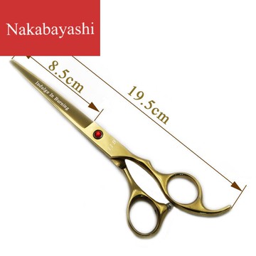 韓國peace Korea 好料剪刀曲面 四角曲面 Citiesocial 找好東西 Line購物