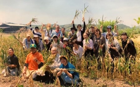 熟成KUROはりま王にんにく 31粒入り