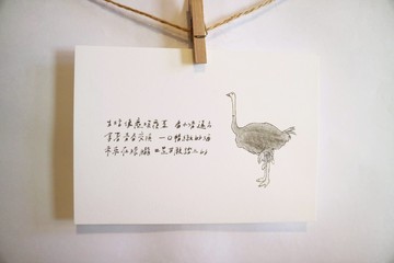 動物與牠的詩34/ 鴕鳥/ 手繪 /卡片 明信片