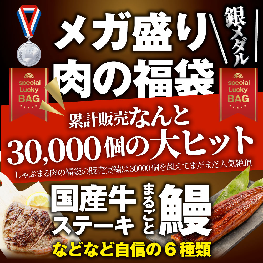 福袋 肉 牛肉 食品 国産牛ステーキ 焼肉 うなぎ1本入り ハンバーグ《銀メダル》6種食べ比べ 贅沢セット ギフト プレゼント 通販 お取り寄せ 送料無料