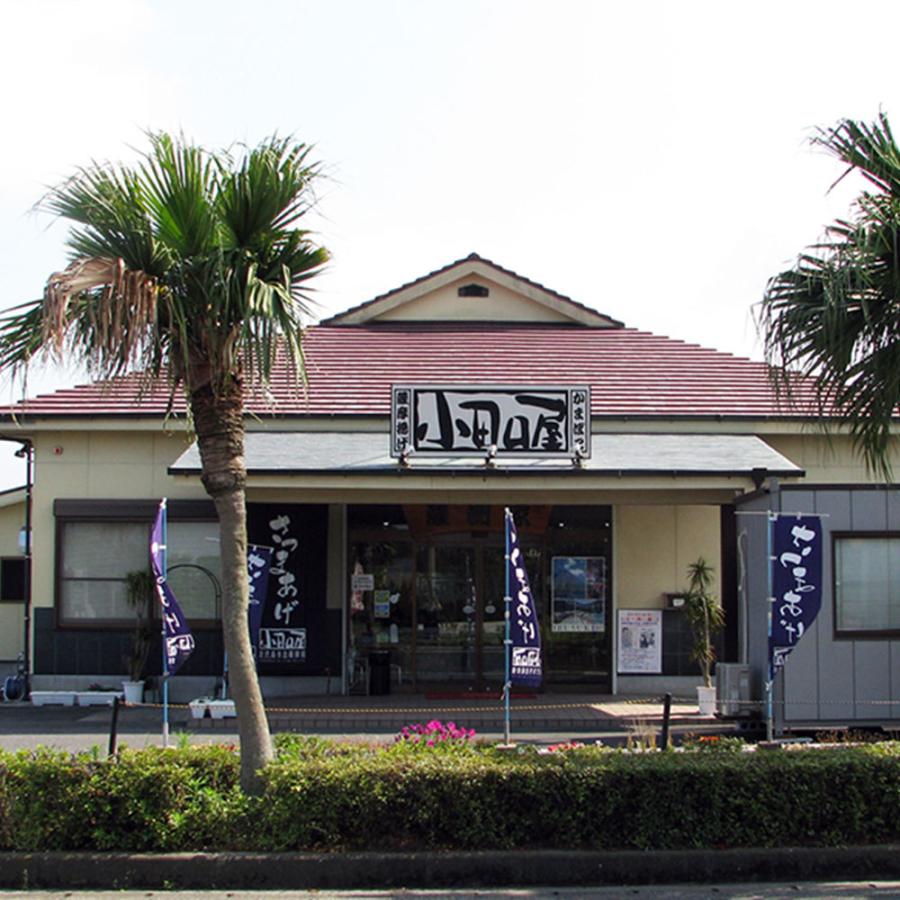 鹿児島 「小田口屋」 彩りさつま揚げ詰合せ A レビューで10％OFF