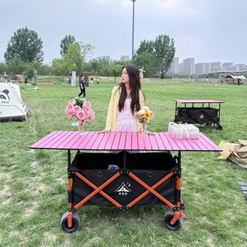 擺攤用推車網紅升降可調節折疊帶桌板拉車大容量擺攤車野餐車