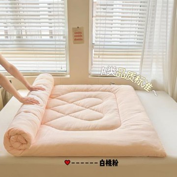 2025新款云感雙層紗軟床墊床褥支持一件代發供直播批發零售
