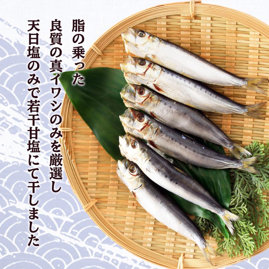 送料無料 [海幸] いわし 真いわし丸干し 6尾×3パックセット 真いわし 干物 鰯 栄養 脂 食卓 一品 おかず