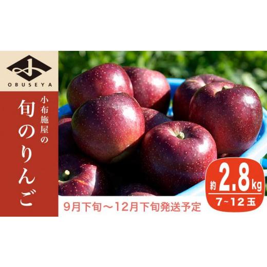 ふるさと納税 長野県 小布施町  長野県産 季節の旬のりんご 約2.8kg 7〜12玉［小布施屋］ 2023年9月下旬〜12月下旬発送 りんご 林檎 リンゴ  果物 フルーツ ［…