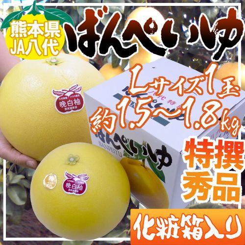 熊本県八代特産 ”晩白柚” ばんぺいゆ 秀品 Lサイズ 1玉 約1.5〜1.8kg 化粧箱入り 送料無料