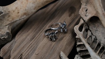 【山骸紀】靜待時機—蛇骨戒指