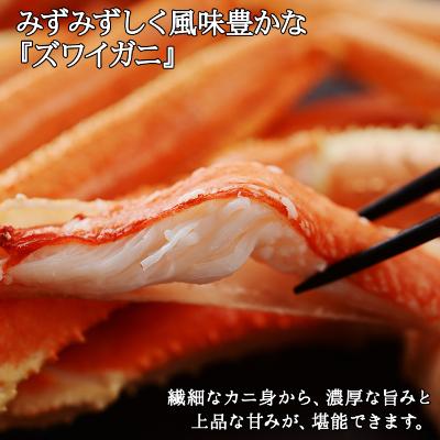 ふるさと納税 弟子屈町 ズワイガニ足 約800g 2-3人前 蟹ハサミ・ガイド付 ボイル 北海道 弟子屈 1522