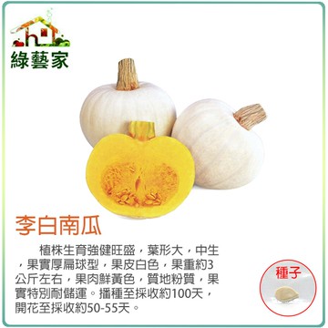 【綠藝家】大包裝G84.李白南瓜種子20顆(李白)