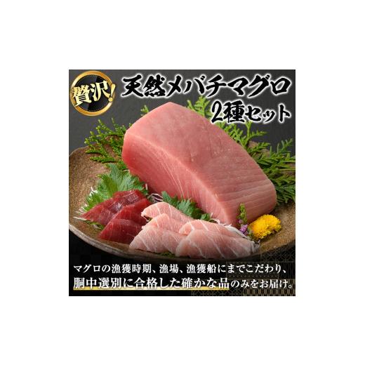 ふるさと納税 鹿児島県 長島町 天然メバチマグロ 贅沢2種セット(合計約1kg) yushin-1073