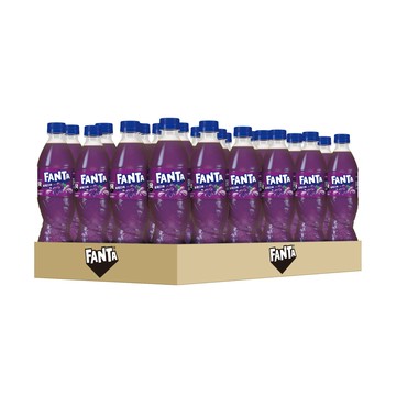 芬達 葡萄寶特瓶600ml(24入/箱)X2箱