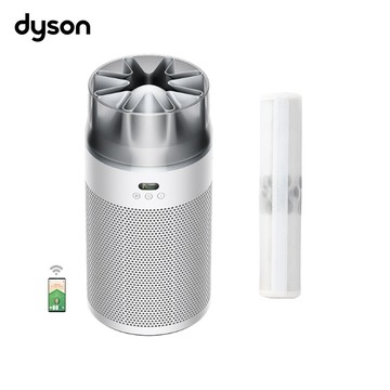 【戴森 Dyson】🎁生日禮物👩‍❤️‍👨一級能效 HJ10 噴射氣流空氣清淨機 銀白色(送寵物濾網單盒2入組)