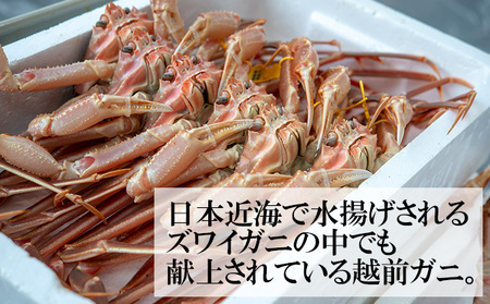 茹で越前ガニ食通もうなる本場の味をぜひ、ご堪能ください。 約900g以上×1杯 越前がに 越前かに 越前カニ ずわいがに かに カニ ボイルガニ