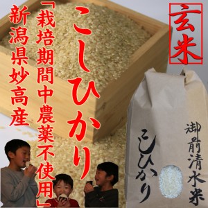 新米 令和5年 新潟産 コシヒカリ 5kg 玄米 御前清水米 栽培期間中農薬不使用 有機肥料