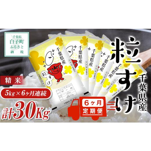 ふるさと納税 千葉県 白子町 令和5年産  ＜6ヶ月定期便＞千葉県産粒すけ 5kg×6ヶ月連続 計30kg お米 定期 5kg 6カ月 千葉県産 白子町 コシヒカリ 米 …