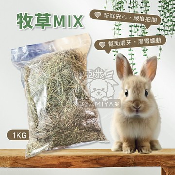 牧草MIX 1KG 小寵牧草 天竺鼠牧草 兔牧草 鼠兔牧草 兔用牧草 小動物牧草【亞米屋Yamiya】