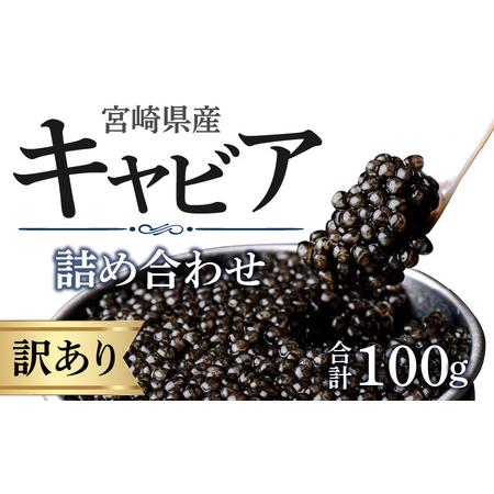 ふるさと納税 宮崎県産キャビア 詰め合わせ 合計100g 魚卵 キャビア 宮崎県宮崎市