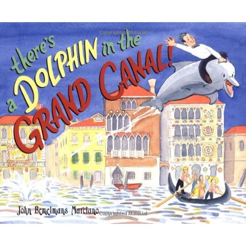 There's a Dolphin in the Grand Canal