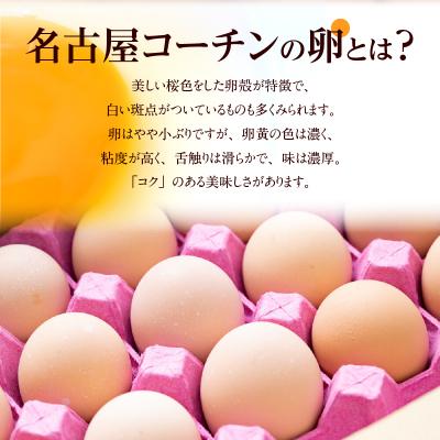 ふるさと納税 小牧市 名古屋コーチン卵(30個入り)×6回(計180個)[006K03-T]