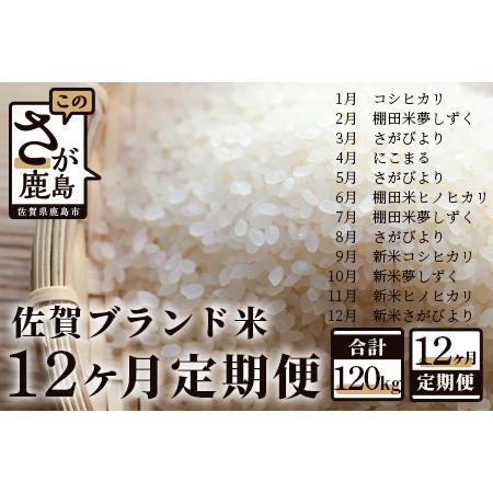 ふるさと納税 佐賀ブランド米定期便（10kg×12回） V-26 佐賀県鹿島市