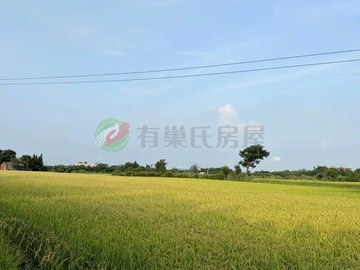 大園區艋舺段臨路土地，稀有釋出投資首選｜桃園市大園區艋舺段