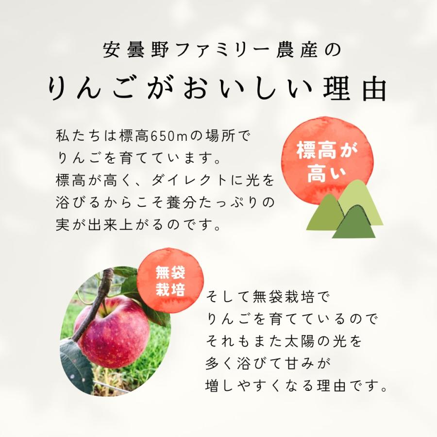 ピンクレディ 5kg 箱 訳あり 幻の林檎 減農薬 希少 りんご 長野 安曇野 信州 産地直送 酸っぱい 「ピンクレディ5キロ箱訳あり品」