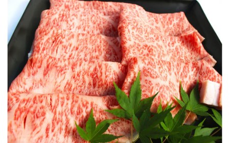  博多和牛 食べ比べ セット ロース カルビ モモ 焼肉 ステーキ 和牛 牛 肉 定期