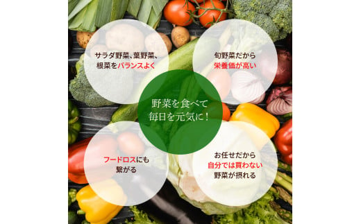 野菜セット（7‐9種類）栽培期間中農薬不使用！ 季節の野菜 旬 無農薬 野菜 やさい 新鮮 自然 健康 セット 詰め合わせ 冷蔵 美味しい おいしい 食べ物 食材 秋 旬の味覚 ご当地 お取り寄せ 芸西村 5000円 故郷納税 ふるさとのうぜい 返礼品 高知県産 高知