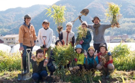 瀬戸内小豆島の旬野菜セット 農家直送 年4回お届け