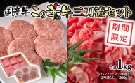 合計1ｋｇ！国産牛切り落とし500ｇ＆牛100％ハンバーグ100ｇ×5個　二刀流セット　この華牛＜1.1-27＞