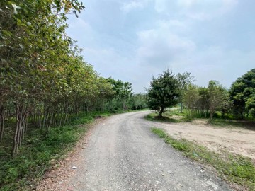 潭子嘉豐方正農地1007坪都計內.臨八米路｜台中市潭子區嘉豐段