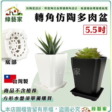 【綠藝家】轉角仿陶多肉盆5.5吋(L195) (黑色、白色兩色可選)可搭配 正方形底盤L176A(請至賣場搜尋)