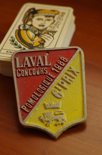 -老又好雜貨-少見法國製農場獎牌 牆面裝飾 擺飾 鳶尾花 w426