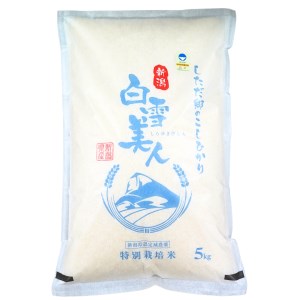 令和5年産米 新米 特別栽培米 下田産コシヒカリ「白雪美人」 精米 10kg（5kg×2） 新潟県