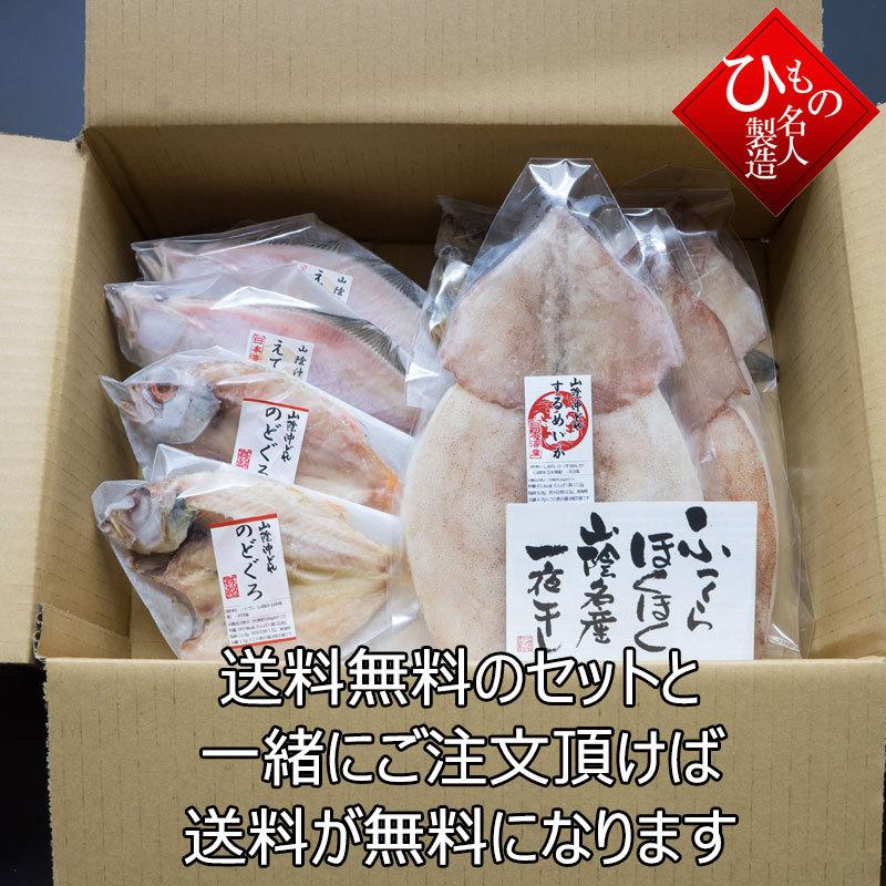 するめいか 干物（単品） 山陰沖日本海産（鳥取県・島根県産）（大サイズ 約170g）