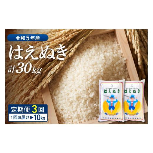 ふるさと納税 山形県 河北町 ※2024年1月後半スタート※はえぬき 30kg定期便（10kg×3回）山形県産