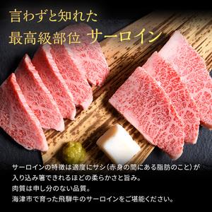 ふるさと納税 飛騨牛 サーロイン 岐阜県海津市産 焼肉 500g 牛肉 岐阜県海津市