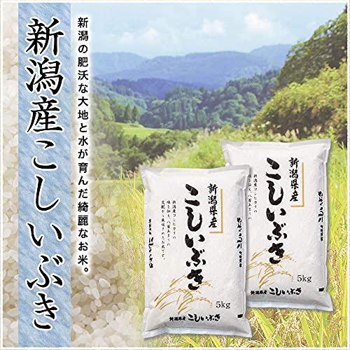 新潟県産 こしいぶき 白米 5kg 令和4年産