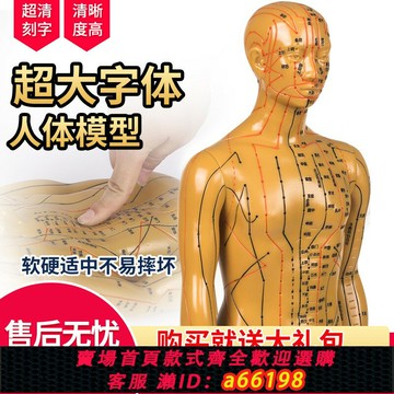 【台灣公司 可開發票】超清晰刻字60cm人體穴位模型中醫針灸教學男女銅人全身經絡按摩圖
