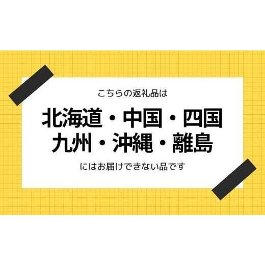 ふるさと納税 福島県 福島市 No.2253和正月一段重