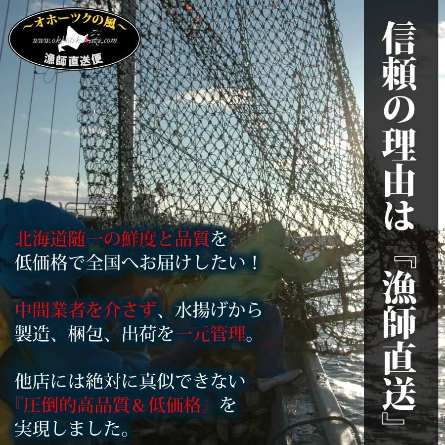 予約 オホーツク漁師の海鮮 福袋 Cセット 北海道 漁師厳選 8-10種 イクラ カニ エビ ホタテ