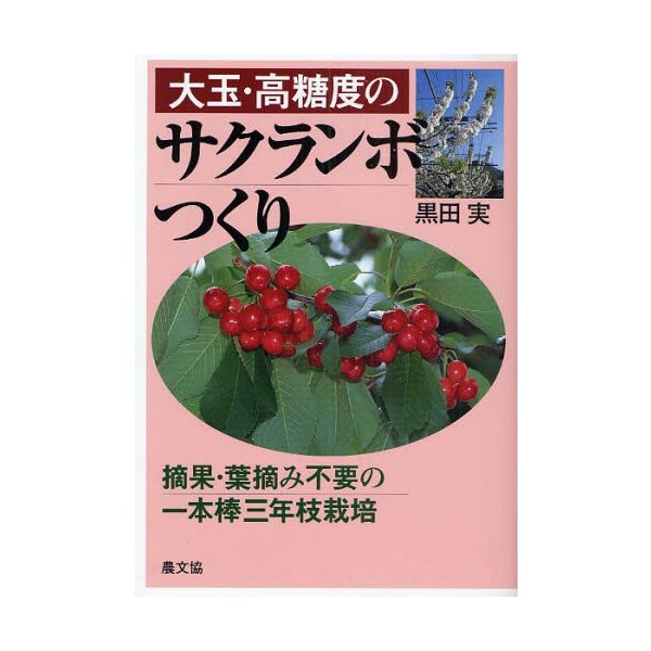 大玉・高糖度のサクランボつくり 摘果・葉摘み不要の一本棒三年枝栽培