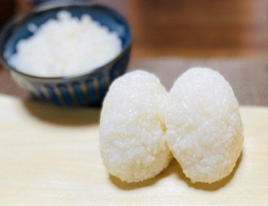  金芽米特別栽培米農林48号2kg×２