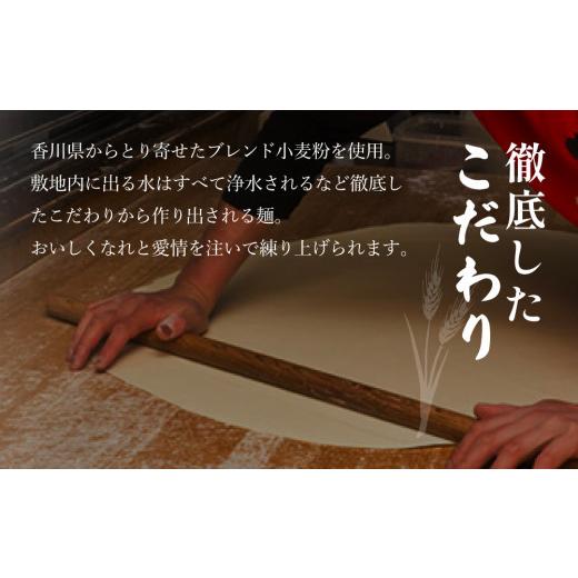 ふるさと納税 兵庫県 加西市 がいな製麺所のうどんセット