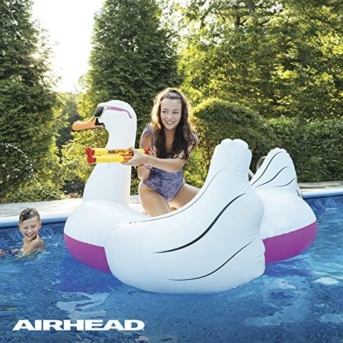 Airhead Cool Swan Inflatable Pool Float