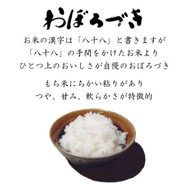 米 お米 白米 北海道米 詰合せ セット 1.5kg×4 セット 送料無料