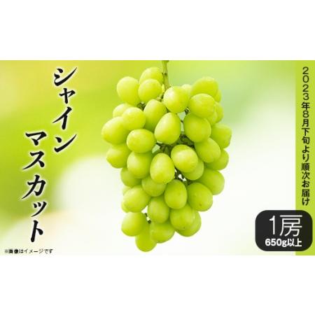 ふるさと納税 シャインマスカット1房（700g以上）（2024年8月下旬から9月下旬頃発送予定） 茨城県下妻市