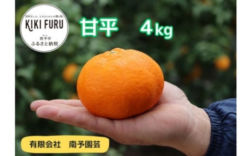 甘平　４kg（数量限定）